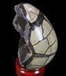 Septarian Dragon Egg Geode - Black Crystals #83392-2